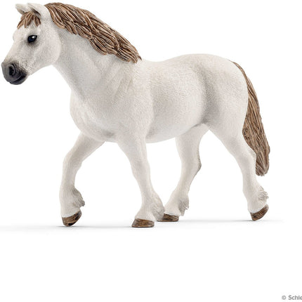 Welsh Pony Mare