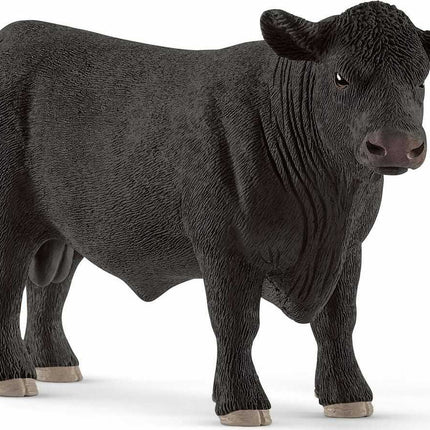 Black Angus Bull