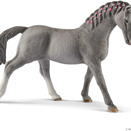 Trakehner Mare