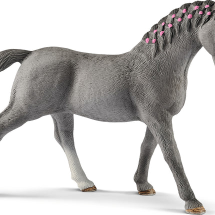Trakehner Mare