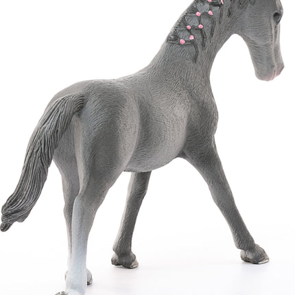 Trakehner Mare