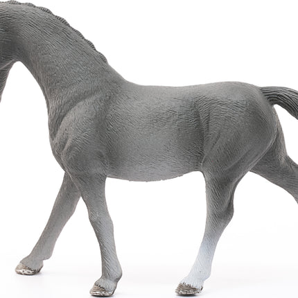 Trakehner Mare