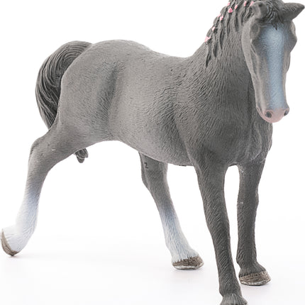 Trakehner Mare