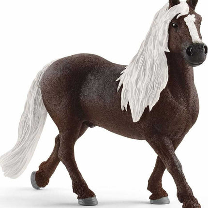 Black Forest Stallion
