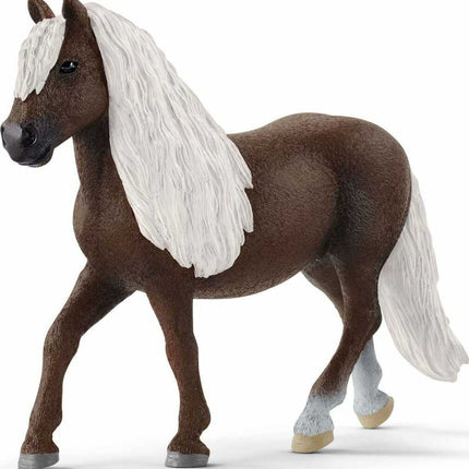 Black Forest Mare