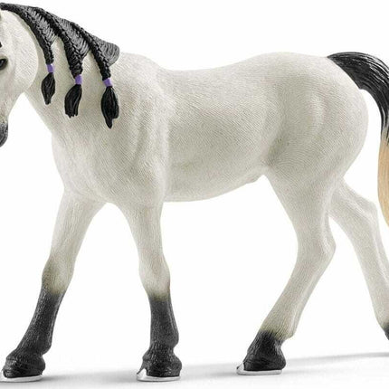 Arabian Mare