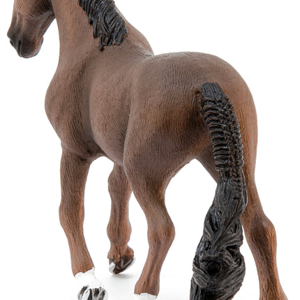 Trakehner Gelding