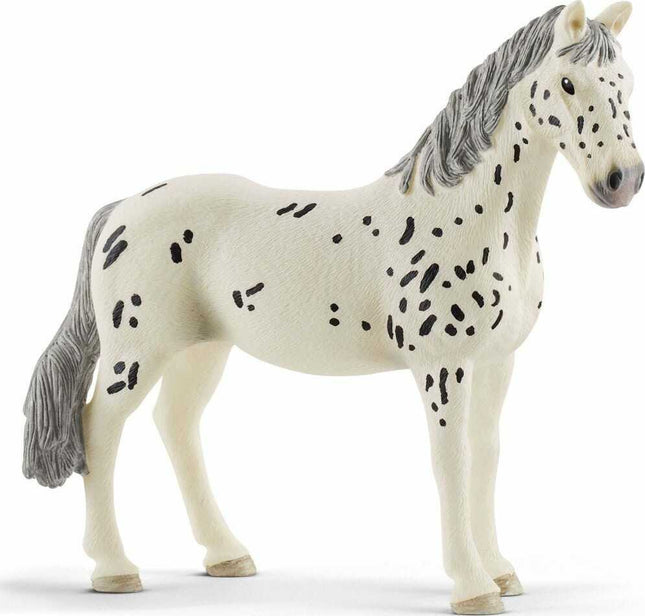 Knabstrupper Mare