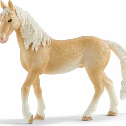Akhal-Teke Stallion