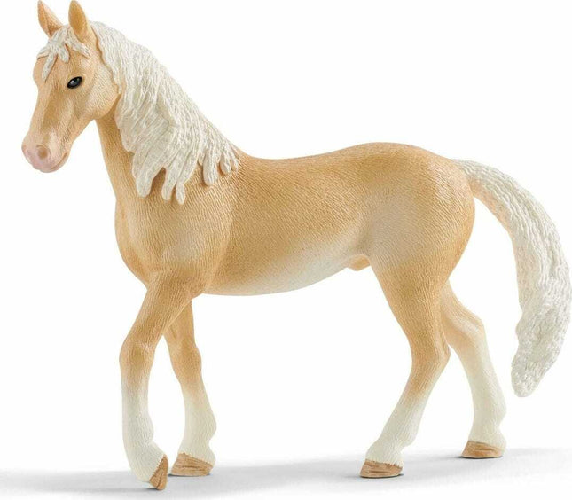Akhal-Teke Stallion