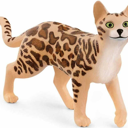 Bengal Cat