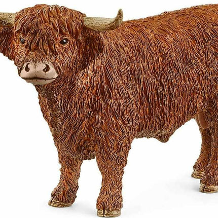 Highland Bull