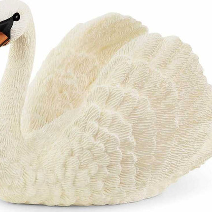 Swan