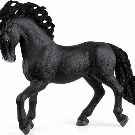 Pura Raza Española Stallion