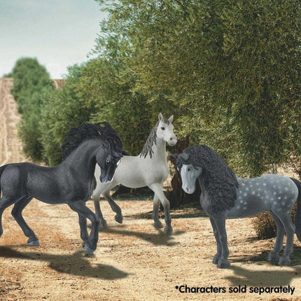 Pura Raza Española Stallion