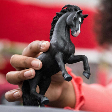 Pura Raza Española Stallion