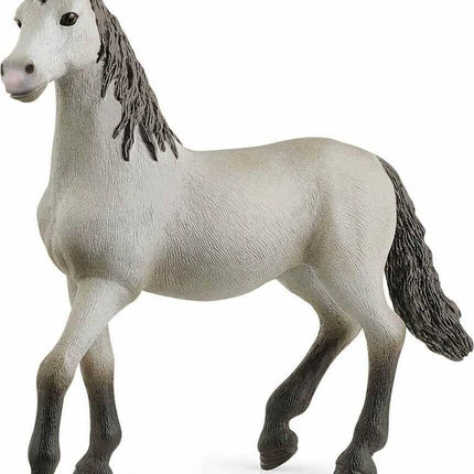 Pura Raza Española Young Horse