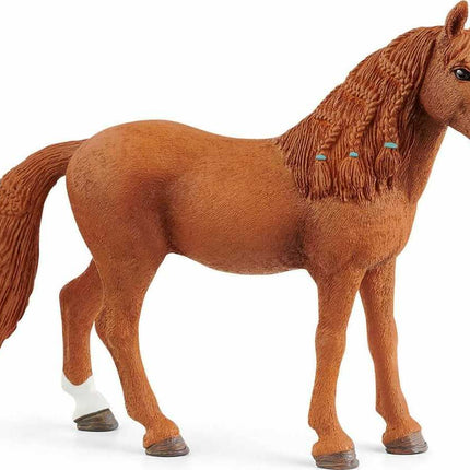 German Riding Pony Mare