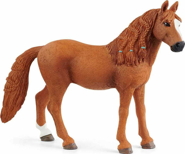 German Riding Pony Mare