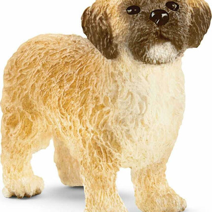 Shih Tzu Malteser Mix