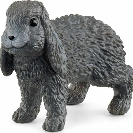 Lop-Eared Rabbit