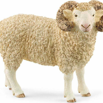 Ram