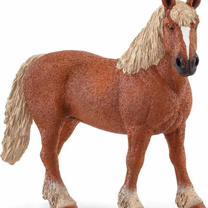Belgian Draft Horse
