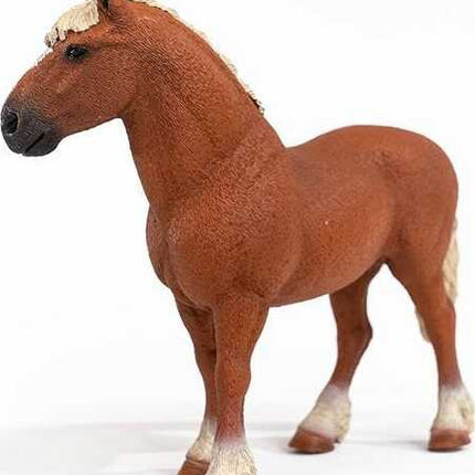 Belgian Draft Horse