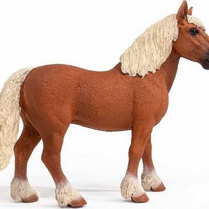 Belgian Draft Horse
