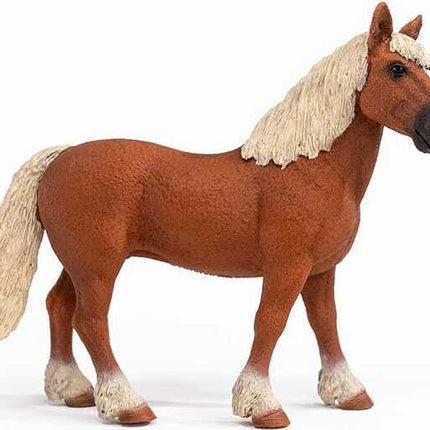 Belgian Draft Horse