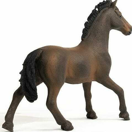 Oldenburger Stallion