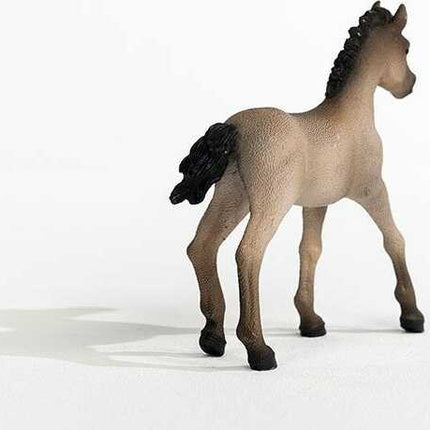 Criollo Definitivo Foal