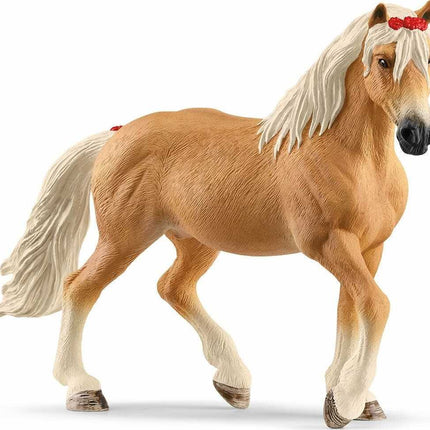 Haflinger Mare