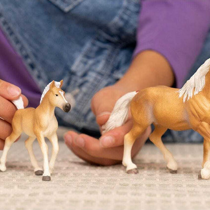 Haflinger Mare