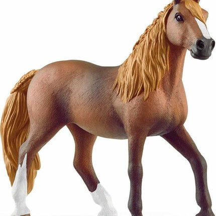 Peruvian Paso Mare
