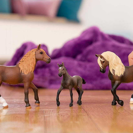 Peruvian Paso Mare