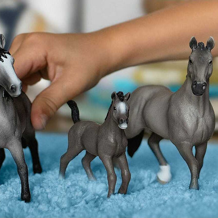 Selle Français Mare