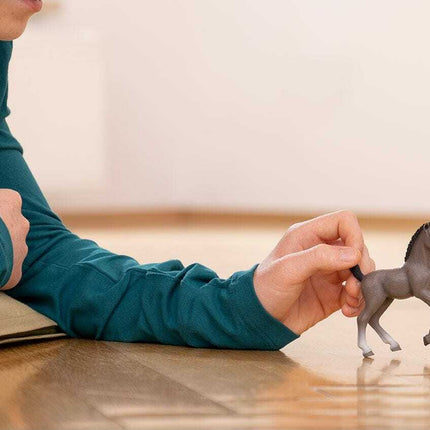 Selle Français Foal