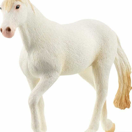 Camarillo Mare
