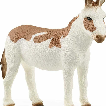 American Spotted Donkey