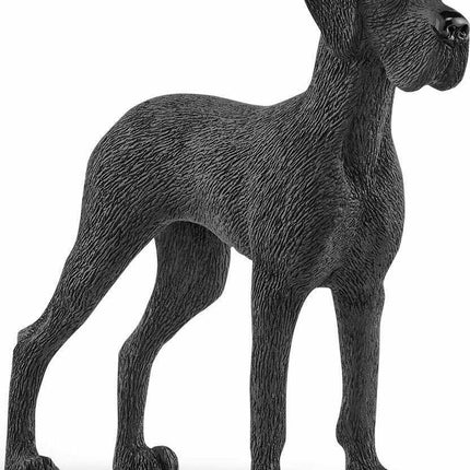 Great Dane