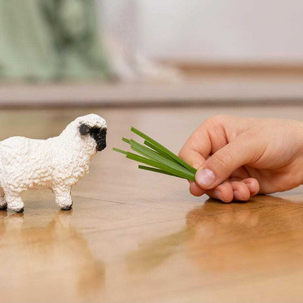 Valais Blacknose Sheep