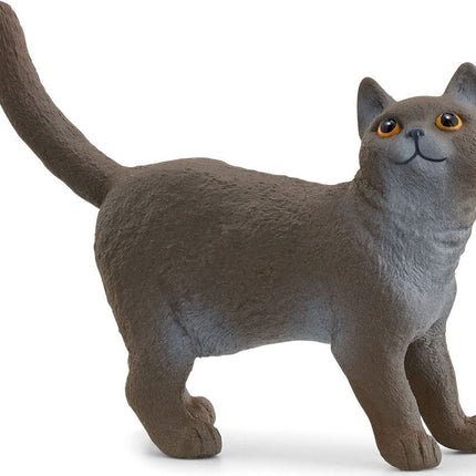 Farm World British Shorthair Cat