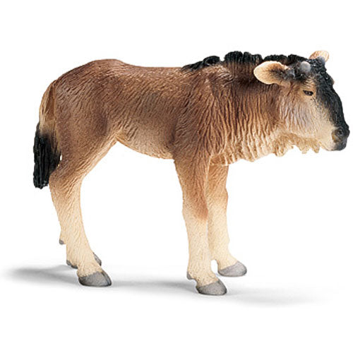 Gnu Calf