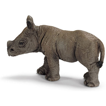 African Black Rhino Calf