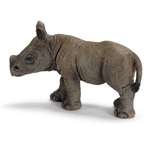 African Black Rhino Calf