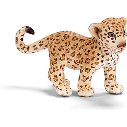 Leopard Cub
