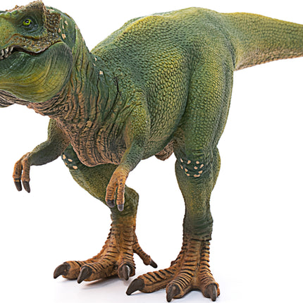 Tyrannosaurus Rex