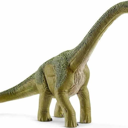 Brachiosaurus