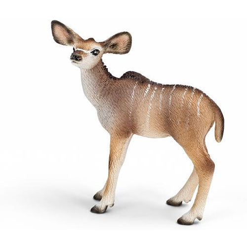 Kudu Calf